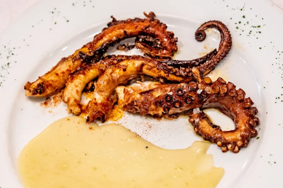 Presentación XII Jornadas Gastronómicas del Pulpo y la Sepia · 2026